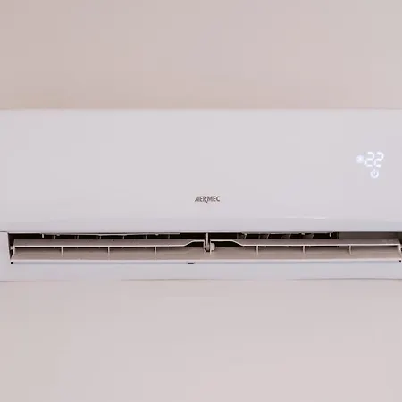 Pandora - - Near The Ruins