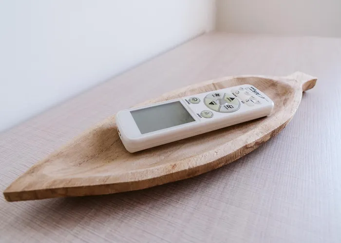 Pandora - - Near The Ruins